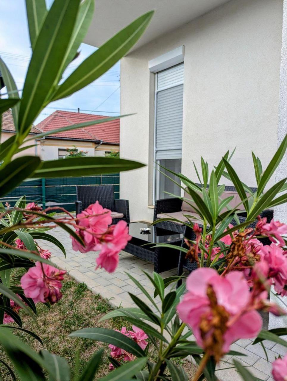 Gast Haus Sibiu Exterior foto